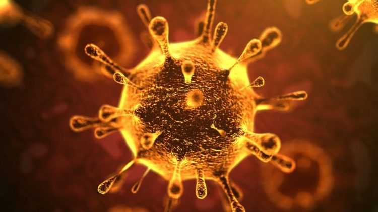 CORONAVIRUS: LE RACCOMANDAZIONI DEI VESCOVI SU COMUNIONE E MESSE