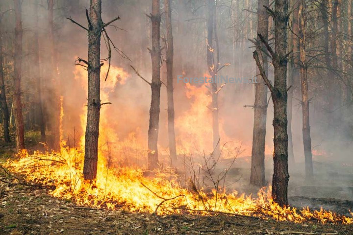 GIORNATA DEL CREATO: “ASCOLTARE IL GRIDO DI SOFFERENZA DELLA NOSTRA TERRA DI SICILIA”