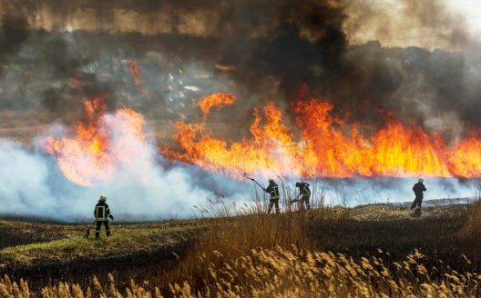 LA SICILIA BRUCIA, LA CHIESA PREGA: PER L’ASSUNTA UN FORMULARIO DI PREGHIERA DEI FEDELI COMUNE A TUTTE LE DIOCESI