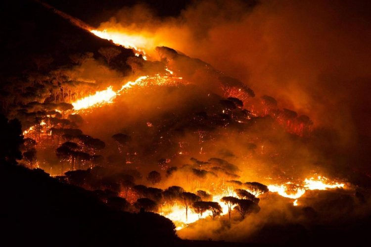 “AD OGNI INCENDIO SIAMO PIU’ POVERI”: INTERVENTO DI MONS. GIUSEPPE MARCIANTE, DELEGATO CESI PER LA SALVAGUARDIA DEL CREATO