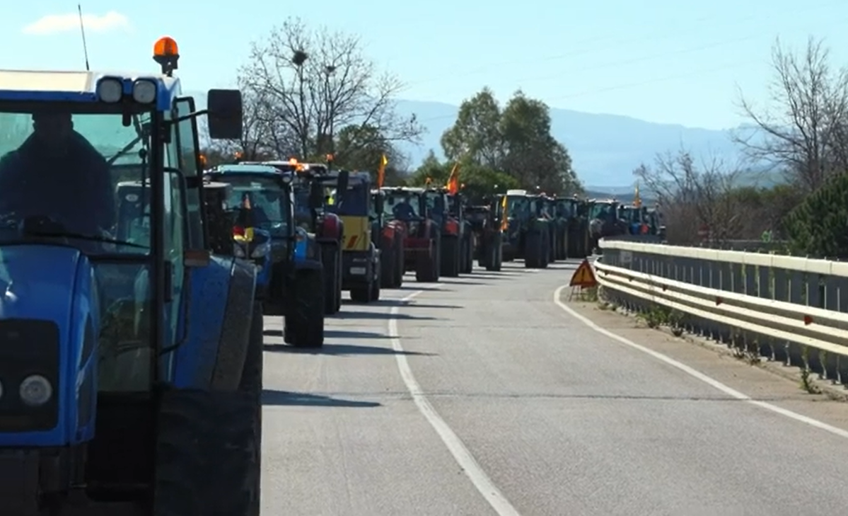 PROTESTE DEGLI AGRICOLTORI. SOLIDARIETA’ E APPELLO AD UNA “SENSIBILITA’ NON DI FACCIATA”